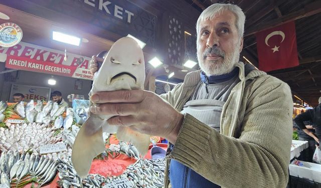 Elazığ'da köpek balığı ilgi odağı oldu