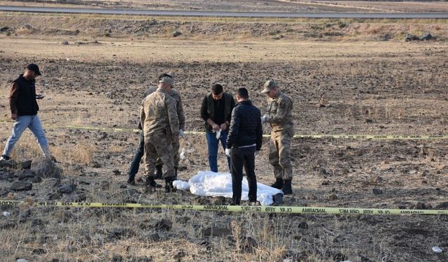 Faili meçhul cinayet aydınlatıldı: 2 gözaltı