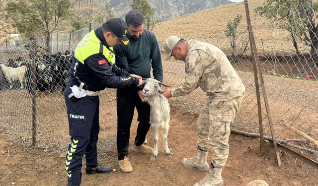 Siirt'te ilk kez uygulandı
