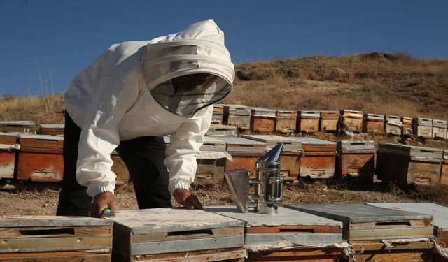 Adıyaman'da bu sezon 650 ton bal üretimi