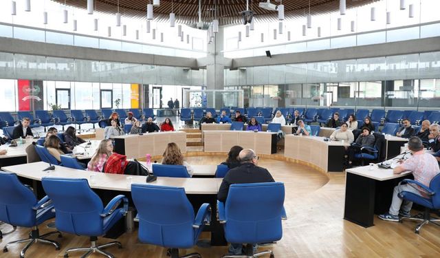 AB’ye üye 13 ülkeden gelen gençler Diyarbakır’ı gezdi