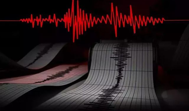 Van 4,6 ile sallandı