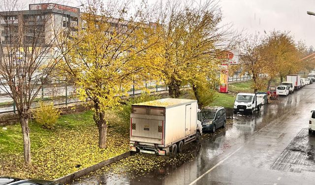 Diyarbakır’da sağanak yağış etkili oldu