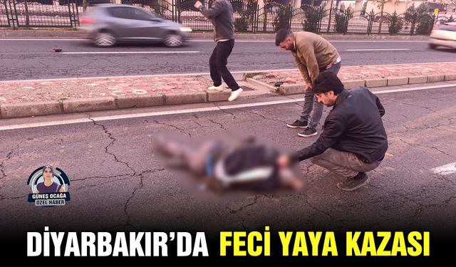 Diyarbakır’da feci yaya kazası
