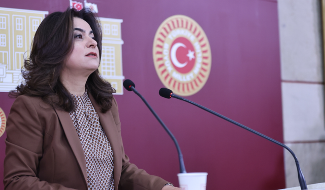 DEM Partili Koçyiğit: Barış güvenlikle değil, hukukla kurulacak