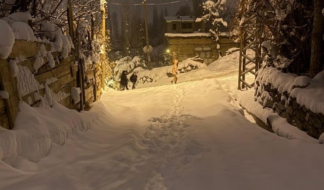 Hakkari'de 301 yerleşim yeri ulaşıma kapandı