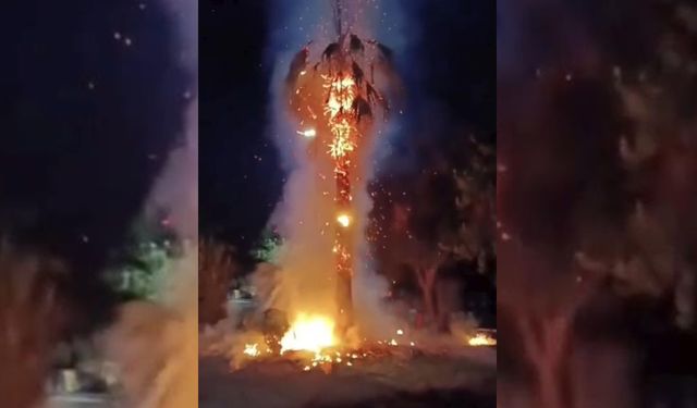 Mardin’de akıl almaz olay!