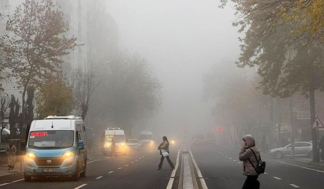 Diyarbakırlı uzmandan, sisli hava uyarısı!
