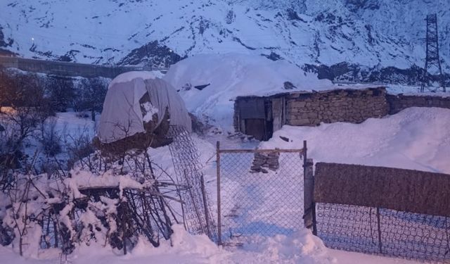 Hakkari'de şüpheli kadın ölümü