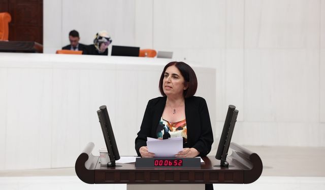 Ukraynalı çocukların istismarı Meclise taşındı