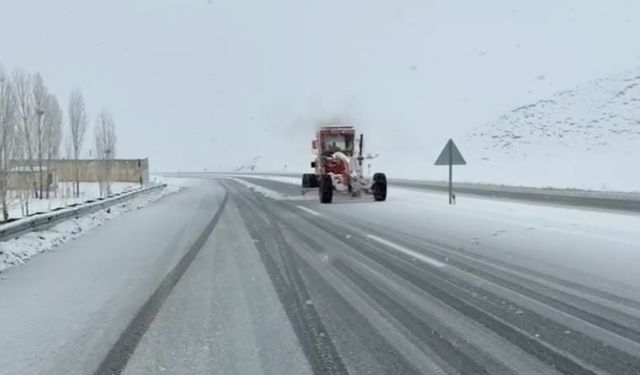 Van ve Bitlis'te kar yağışı hayatı felçetti!