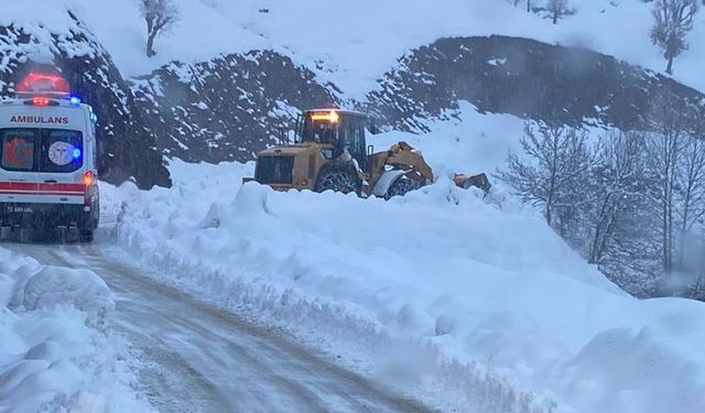 Batman’da hayat mücadelesi