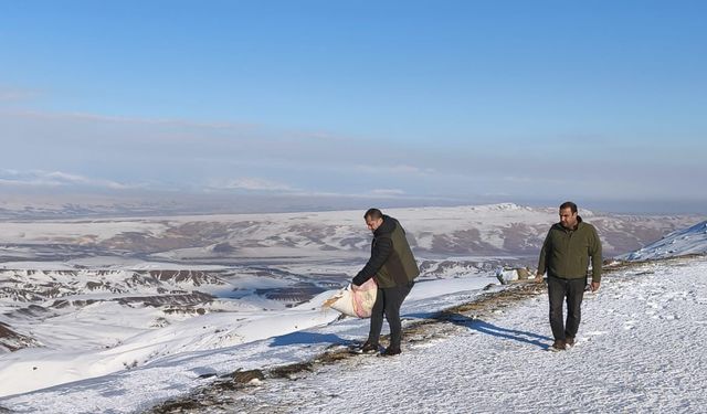 Batman'da yaban hayvanları unutulmadı