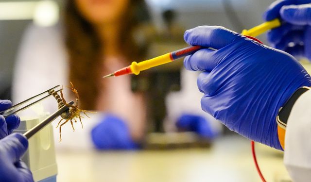 Diyarbakır’da ‘akrep tesisi’ kurdu, akademik çalışmalara destek verdi