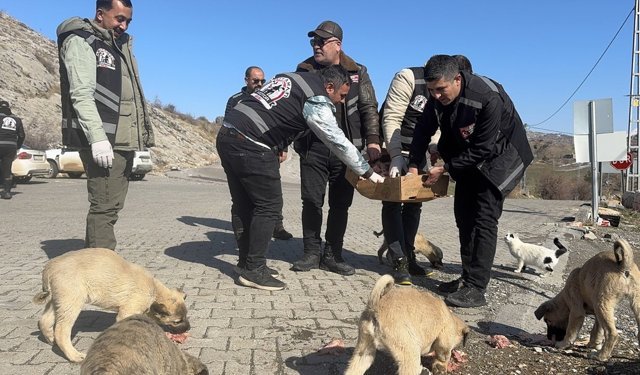 Dondurucu soğuklarda yaban hayvanları unutulmadı
