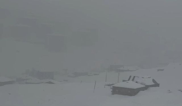 Hakkari-Şırnak yolu çığ nedeniyle kapatıldı