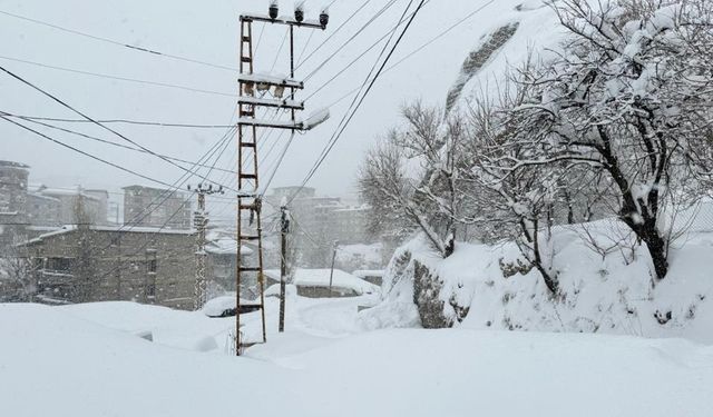 Hakkari'de 89 yerleşim yerinin yolu kapandı