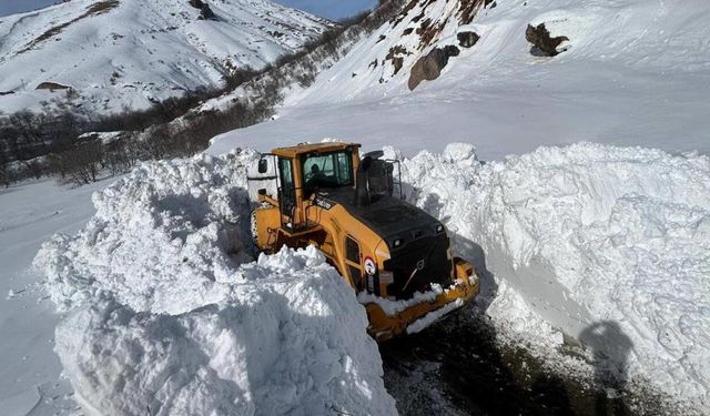 Hakkari‘nin 353 yerleşim yeri ile ulaşımı kesildi