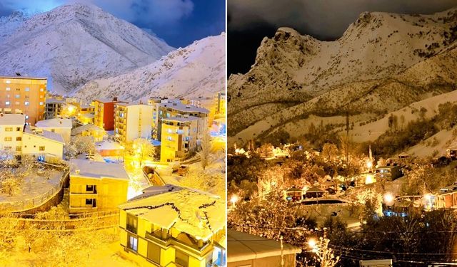 Şemdinli'de çığ altındaki 3 kişi kurtarıldı