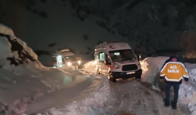 Şemdinli'de 1 metrelik karda hayat mücaledesi  Zehirlenen 12 kişi için ekipler seferber oldu