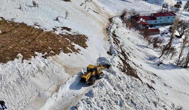 Siirt'te çığ düşen yol temizlendi
