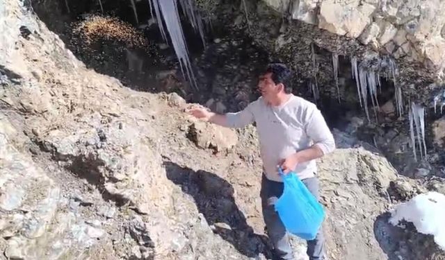 Şırnaklı gençlerden örnek davranış