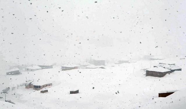 Şırnak, Uludere ve Beytüşşebap'ta okullar tatil