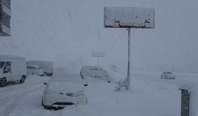 Bitlis'te 304 köyün bağlantısı koptu