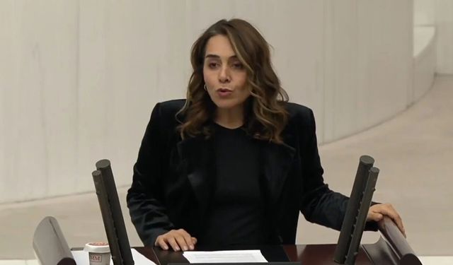 DEM Parti vekili Kaya, petrol kulelerinde çalışan işçileri Meclis’e taşıdı