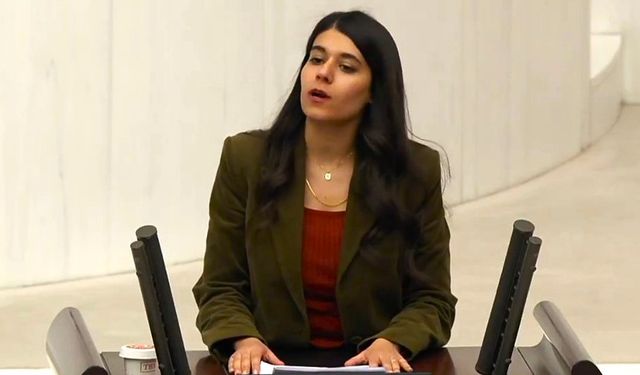 DEM Partili vekil korkunç gerçeği TBMM’de açıkladı!