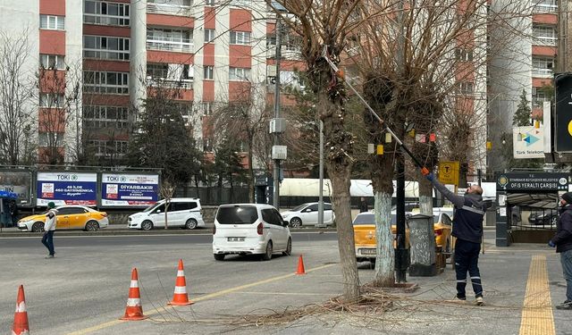 Diyarbakır’da bahar hazırlığı, tehlike saçan söküldü