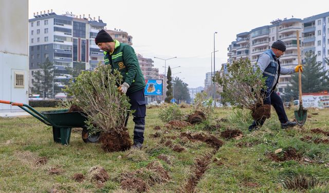 Diyarbakır’da Belediyeden su tasarrufu tedbiri