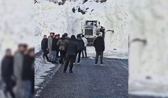 Hakkâri-Van ve Şırnak yolunda çığ alarmı