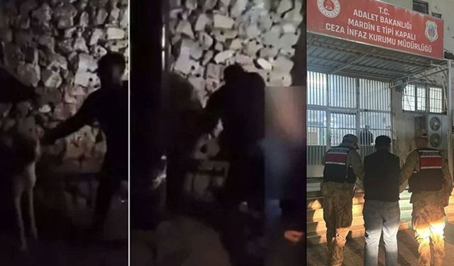 17 yaşındaki gence şiddette 1 gözaltı