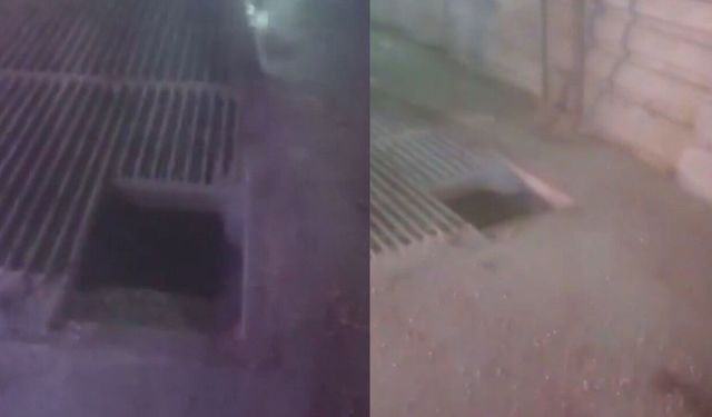 Mısır silosuna düşen işçi hayatını kaybetti