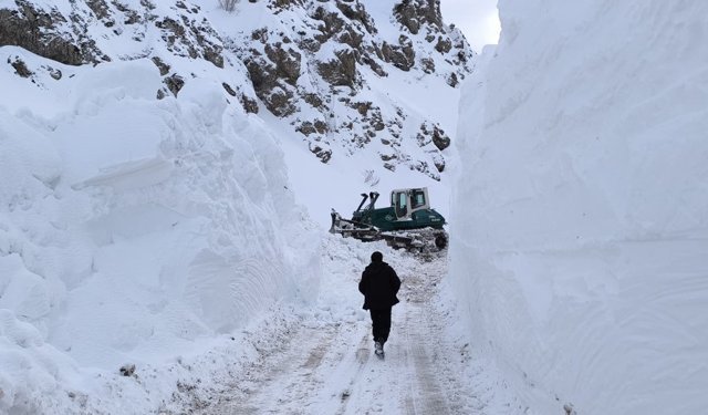 Kar kaplanlarının 5 aileyi kurtarma mücadelesi