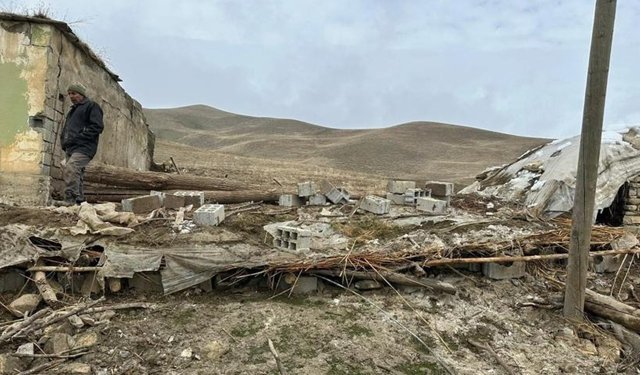 Ahırın çökmesi sonucu 30 hayvan telef oldu