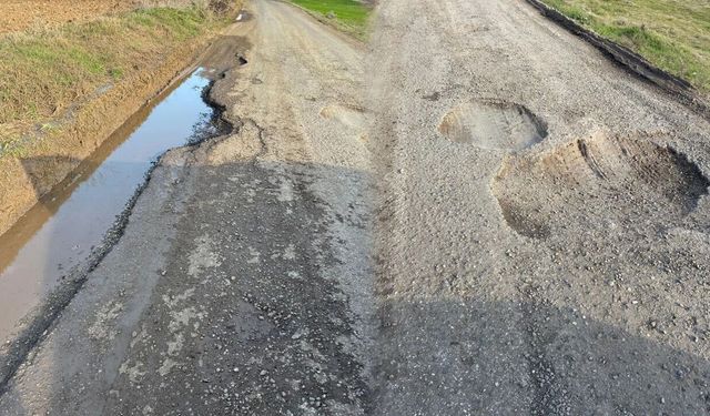 Diyarbakır Sur’daki yol isyanına belediyeden cevap