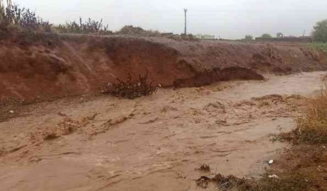 Mardin'de sağanak yağmurla birlikte dereler taştı
