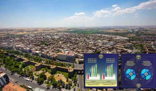 Diyarbakır’da bir ayda 192 şirket kuruldu