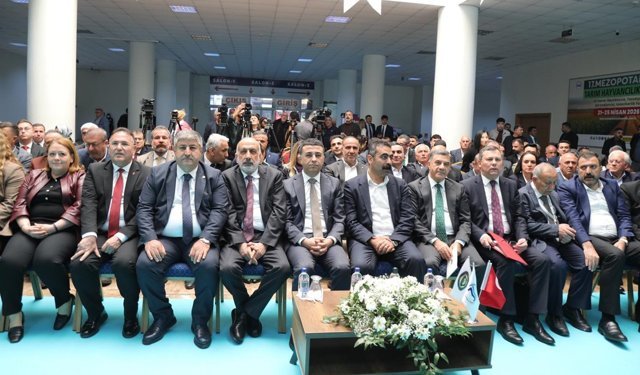 Diyarbakır Hollanda’nın yarısına ulaştı