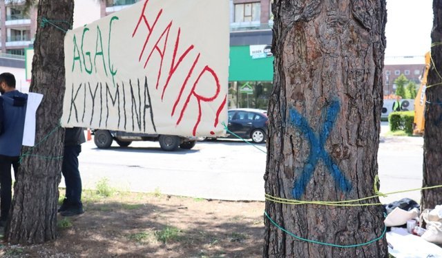 Diyarbakır’da 30 yıllık çamlar için kavşakta direniş
