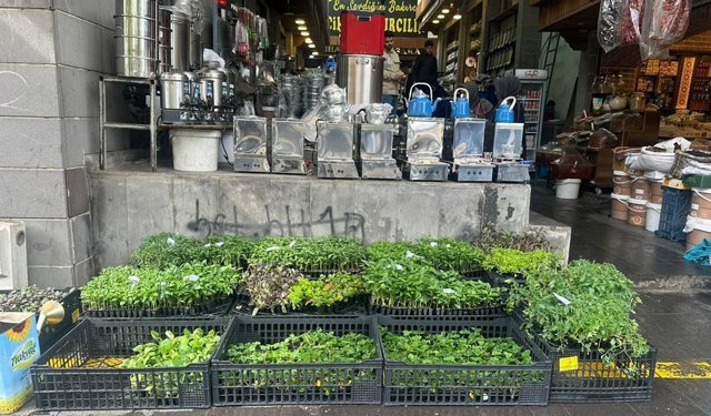 Diyarbakır’da fidedeki çeşit bolluğu tezgâhları hareketlendirdi