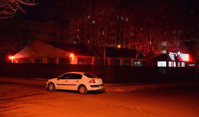 Diyarbakır’da ‘Otizm gününde’ ışıklar kırmızı yanacak