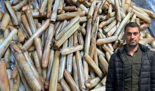 Diyarbakır’dan, Ege’nin derinliklerine