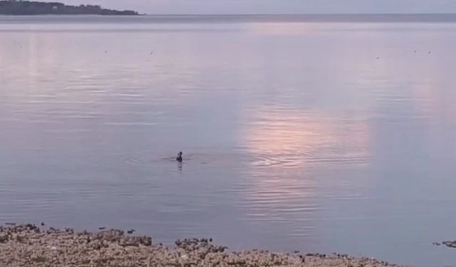 Van Gölü'nde donma tehlikesi