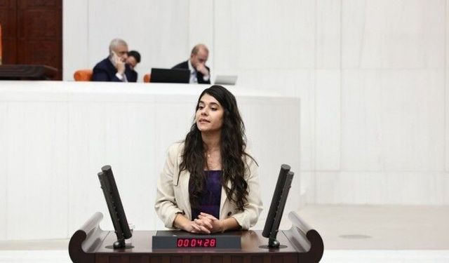 Beritan Güneş: Dillerin ve kültürlerin kardeşliğini beraber örelim