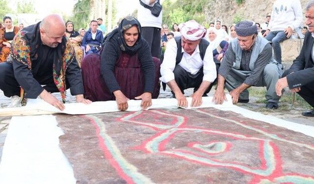 12'nci Cizre Kültür-Sanat ve Dil Festivali başladı