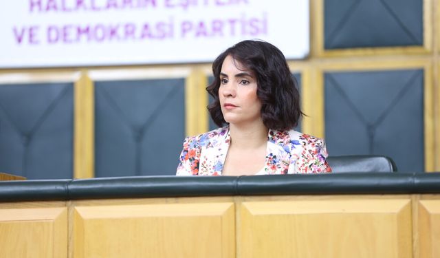 DEM Parti’den, TBMM’ye: Kürtçe ifadeler kayda geçirilsin