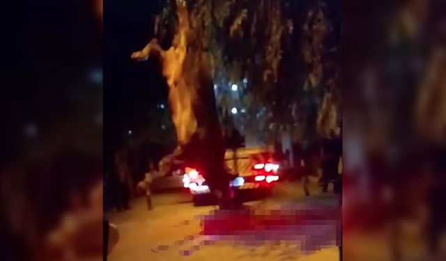 Dereye düşen kurbanlık dana vinçle kurtarıldı